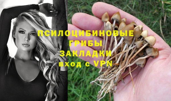 а пвп мука Михайловка