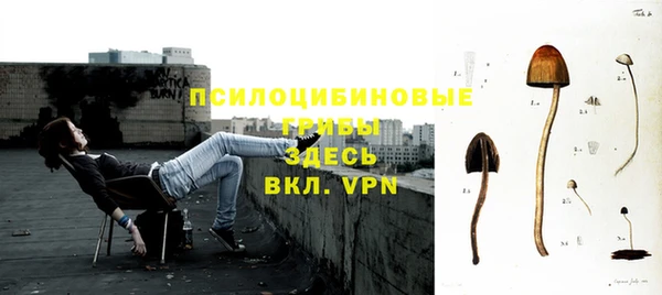 jwh Медногорск