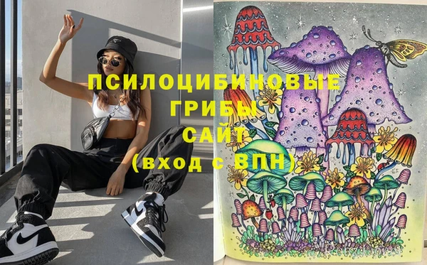героин Михайлов