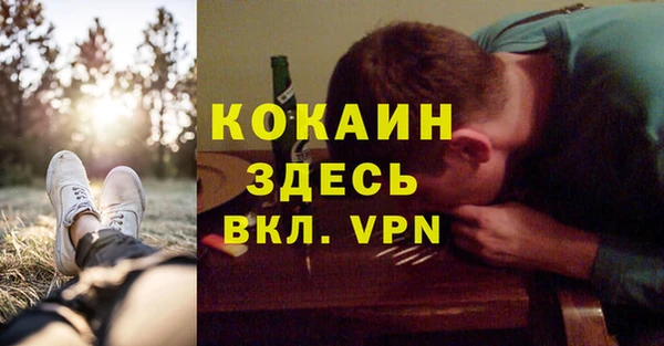 молекула духа Мегион